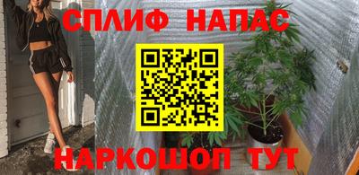 шишки Тула