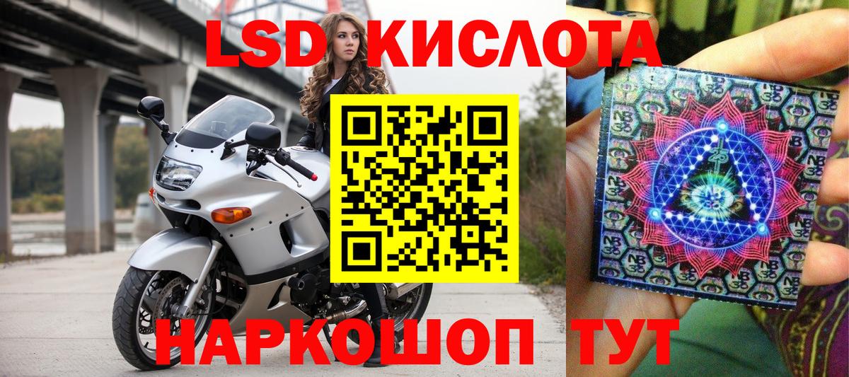 Бошки Шишки Протвино