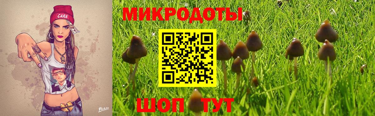 Псилоцибиновые грибы MAGIC MUSHROOMS Протвино